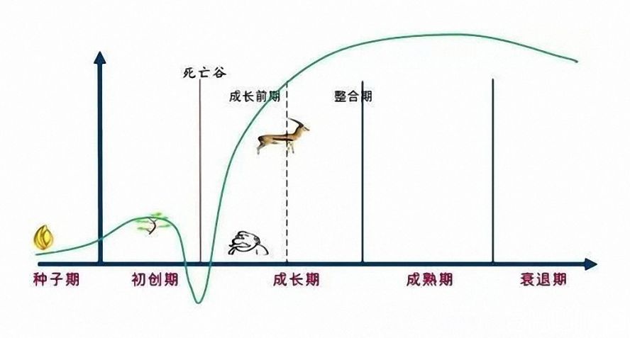 瞪羚企業